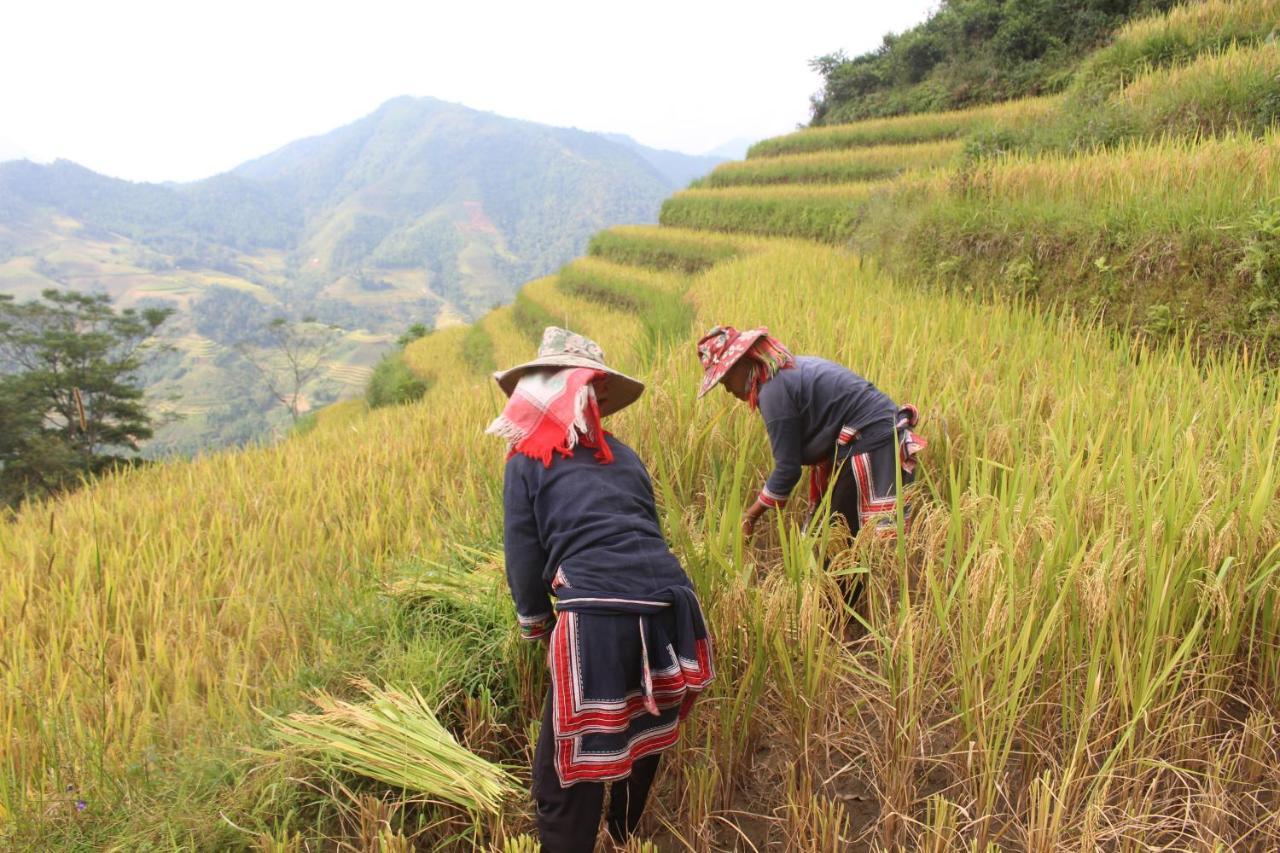 Hoang Su Phi Lodge Ha Giang Exterior foto